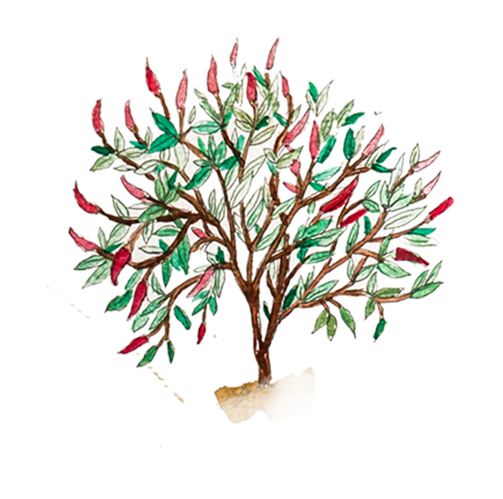 Ilustração do Coletivo Militiva